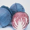 Cabbage Seeds - Ruby Perfection F1 Hybrid
