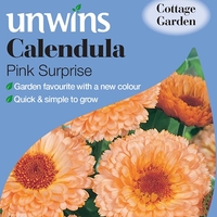 Calendula Seeds - Pink Surprise