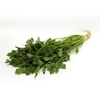 Chinese Celery Seeds - Kin Tsai