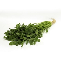 Chinese Celery Seeds - Kin Tsai
