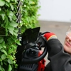 Cobra 22cc Handheld Petrol Hedge Trimmer Ht62c