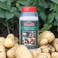 Concentrated Potato Feed - Pre-planting