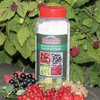 Concentrated Soft Fruit Feed - Pre-planting