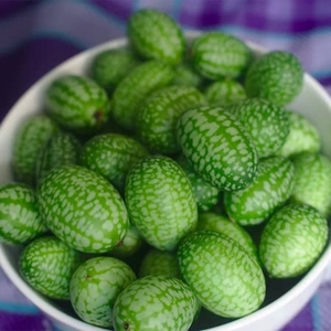 Cucamelon Mexican Gherkin - Plants