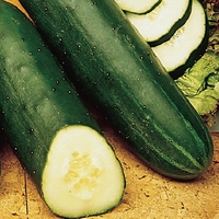Cucumber Seeds - Marketmore
