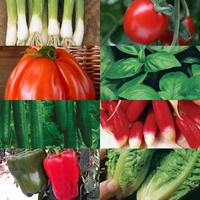 Greenhouse Gro-beds With Essential Salad Seed Collection