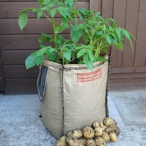 Gro Kit Seed Potato Taster Pack