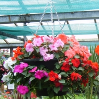 Hanging Baskets Easi-plant - Pair Of 14in Baskets