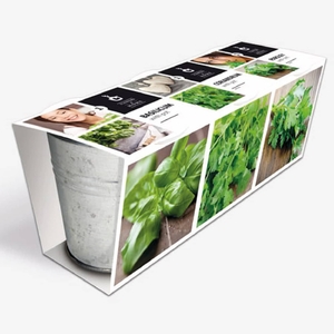 Herb Seeds - Home Favourites