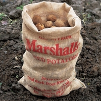 Hessian Potato Sack X1