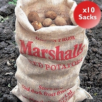 Hessian Potato Sacks X10