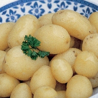 Lady Christl Seed Potatoes