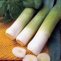 Leek Seeds - Musselburgh