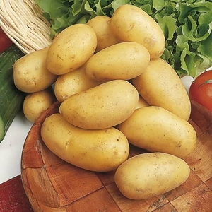 Marshalls Best Selling Potato Collection With Fertiliser