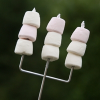 Marshmallow Toasting Fork