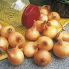 Onion Seeds - Giant Zittau
