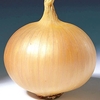 Onion,  Shallot & Garlic Trio Pack