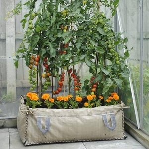 Patio & Greenhouse Gro-bed X1