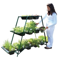 Patiogro