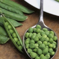 Pea Seeds - Petit Pois Oracle