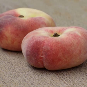 Peach Tree - Flat - Doughnut Shaped X1