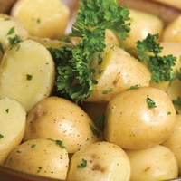 Pentland Javelin Seed Potatoes