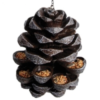 Pinecone Bird Feeder