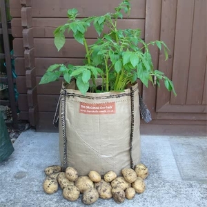 Potato Gro-sacks (x3)