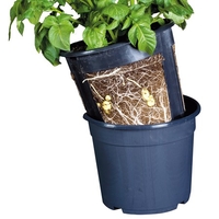 Potato Grow Pots Triple Pack
