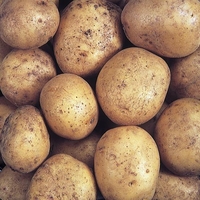 Potato Tricolour Taster Kit