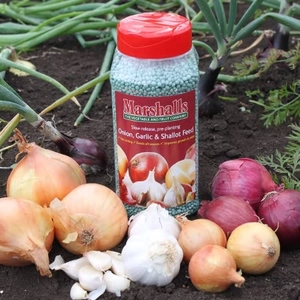 Pre-planting Onion,  Garlic & Leek Fertiliser
