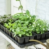 Propagator Component Refill Kit