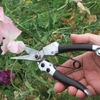 Pruning Snips