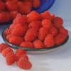 Raspberry Canes - Malling Juno X12 - Floricane