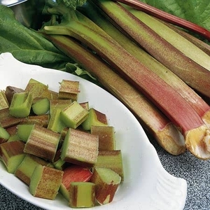 Rhubarb - Goliath