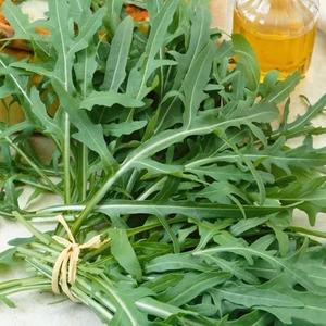 Salad Rocket Athena Seeds