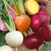 Seed Gro Mat - Vegetable Seed Mix
