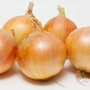 Shakespeare Onion Sets