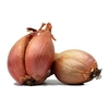 Shallot 