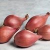 Shallot Sets - Biztro