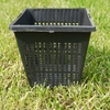 Small Square 1ltr Aquatic Planters X 5