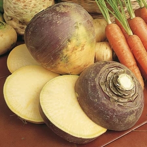 Swede Marian Seeds