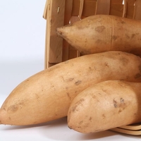 Sweet Potato - Bonita X5 Plants