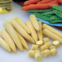 Sweetcorn Mini Pop Seeds
