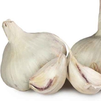 Vallelado Wight Garlic Bulbs