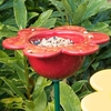 Flowerbed Petal Feeder - Red