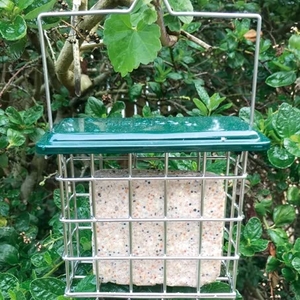 Peckish All Weather Suet Cake Feeder