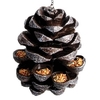 Pinecone Bird Feeder