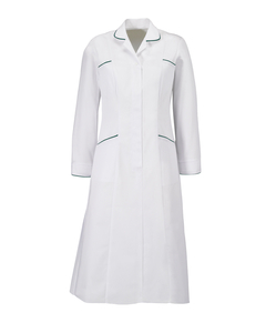 Alexandra long sleeved trim dress