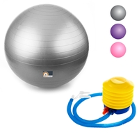 Proworks Anti-Burst Exercise Ball 65cm Heavy Duty With Pump In Silver